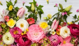 floral fix flower shop SEO