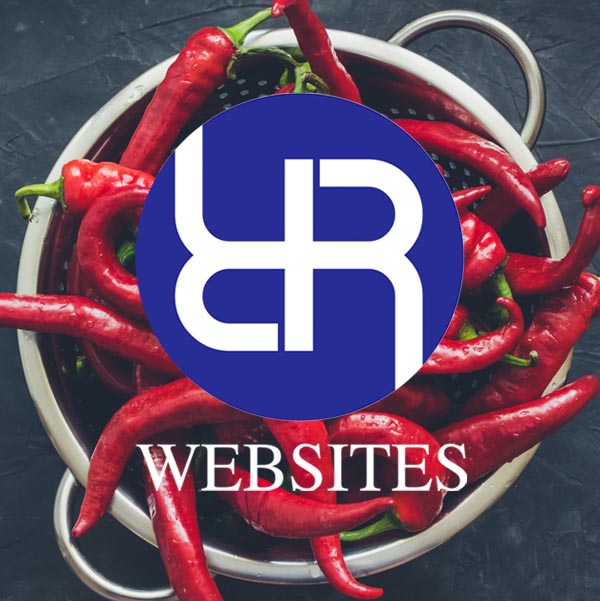 Rio-Rancho-Websites-Official-Startup-Guide-2026-NM