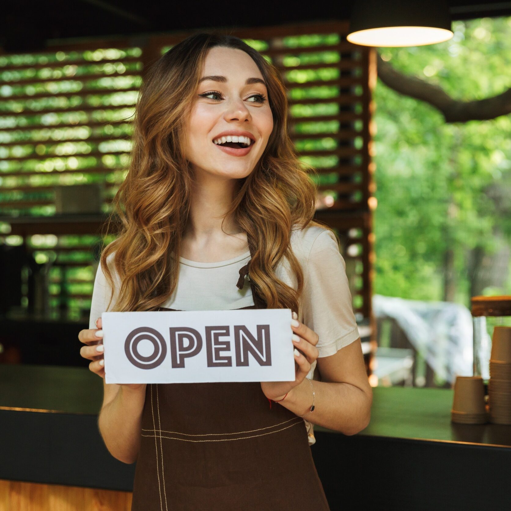 Best Web Design In New Mexico